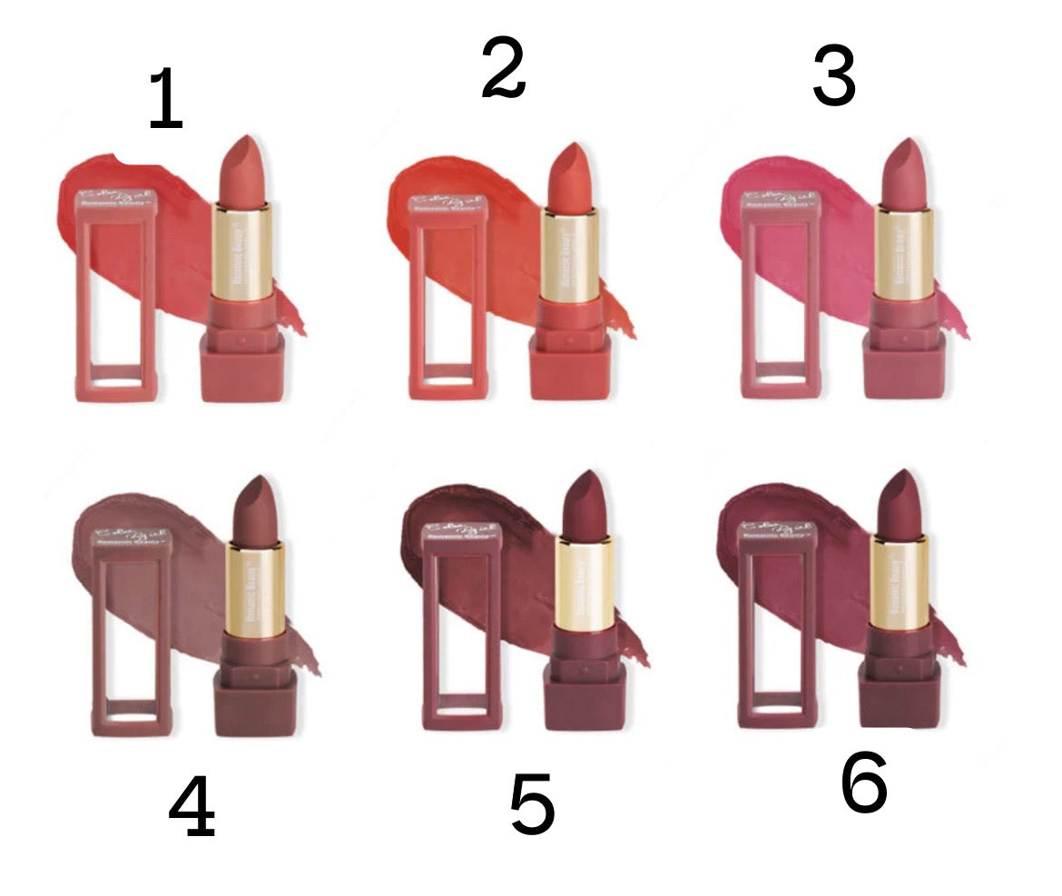 RMT - FASHION COLOR LIPSTICK MATTE