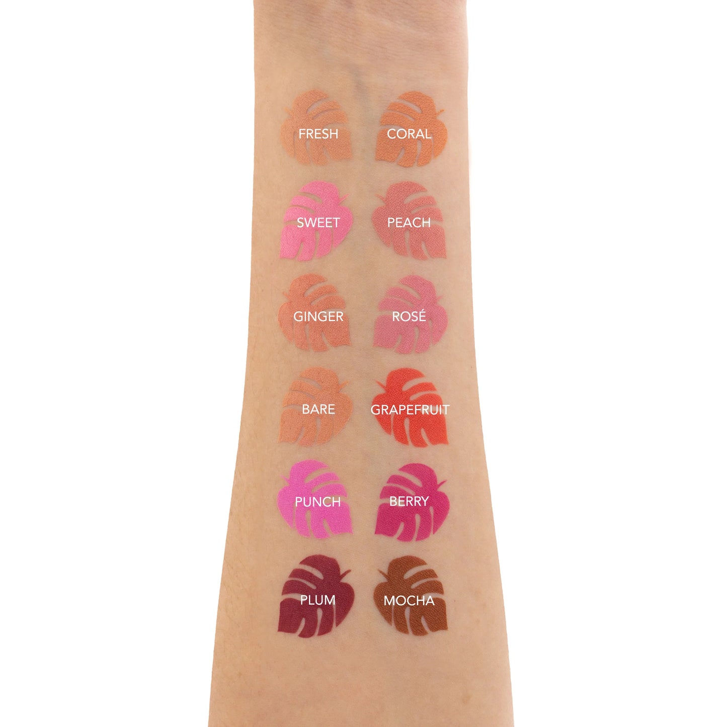AMORUS - Flush Blush Powder