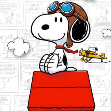 Collection image for: SNOOPY