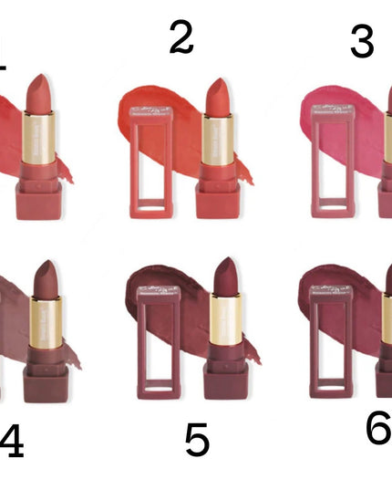 RMT - FASHION COLOR LIPSTICK MATTE