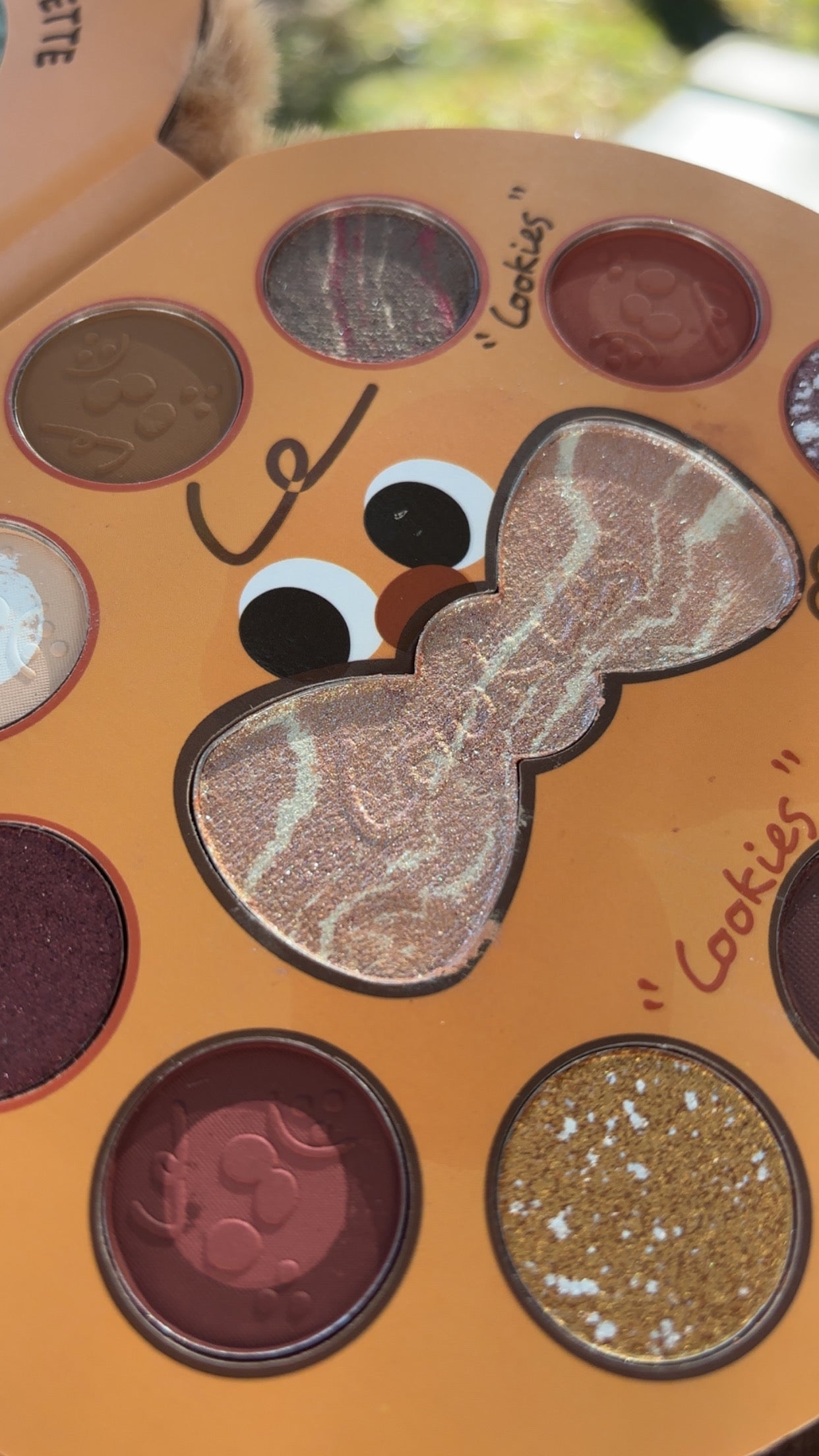 KEVIN & COCO - Paleta de Sombras con Iluminador 🍪