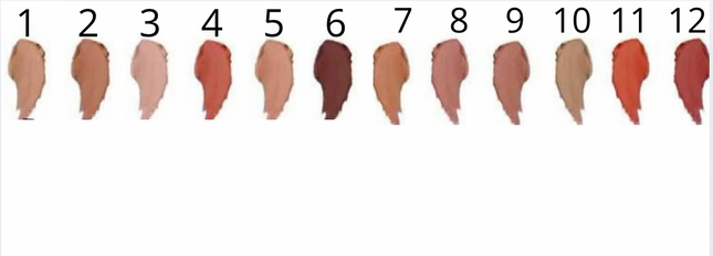 AMUSE - Zone Out Matte Lipstick 🐈