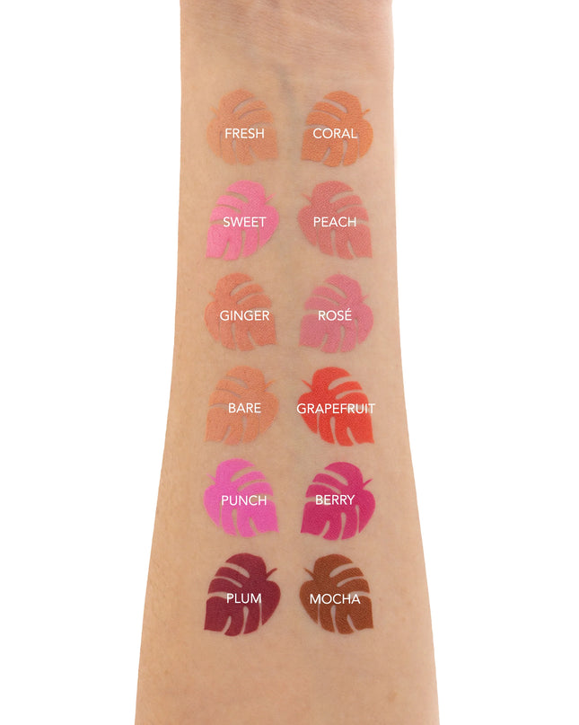 AMORUS - Flush Blush Powder